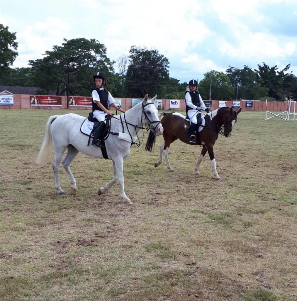 horse show adventures