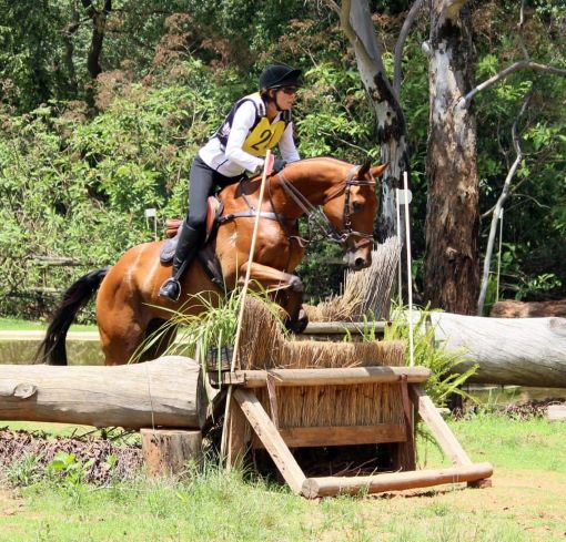 Homeschooling mum horse jumping