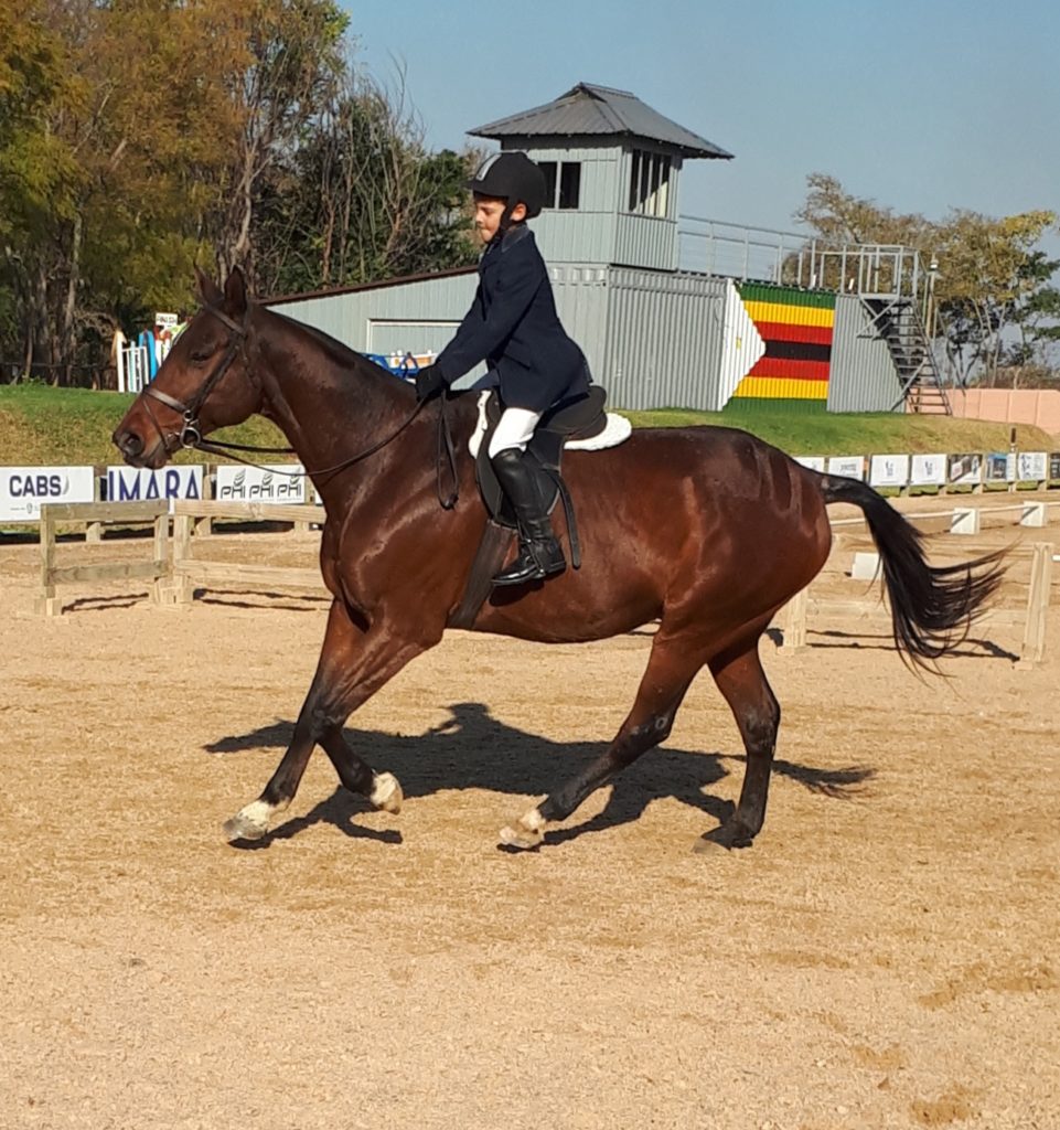 Murray John was motivated to canter in his dressage test. 