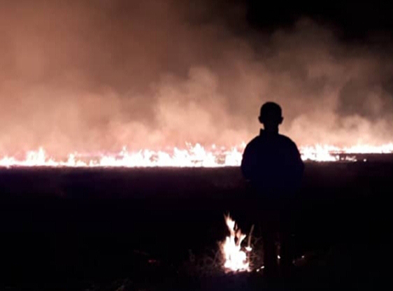 activity back burning fires on the farm