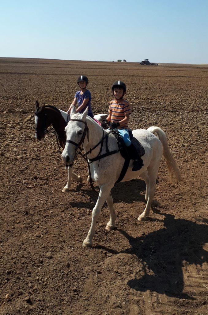 activity riding around the farm