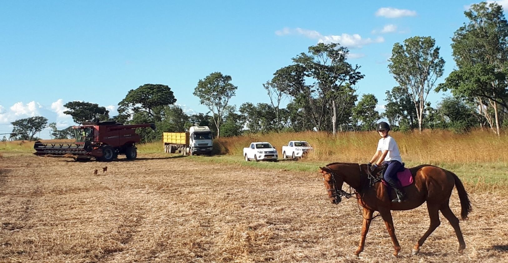 Riding to the combine