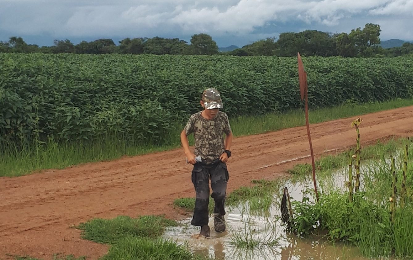 farm walk in the water.