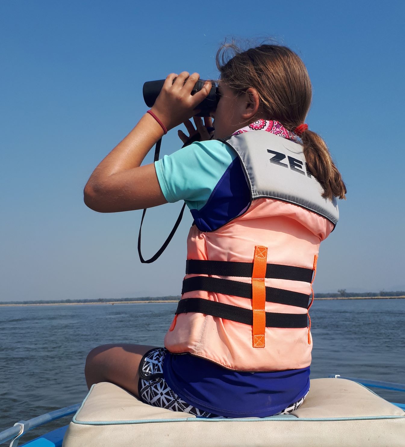 FAITH: Homeschooling. Finding and Following Your Homeschooling Vision.