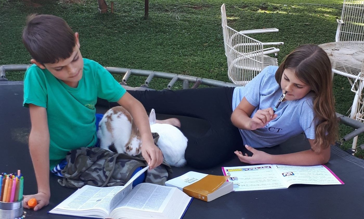Homeschooling with bunnies