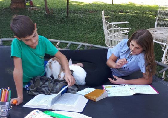 Homeschooling with bunnies