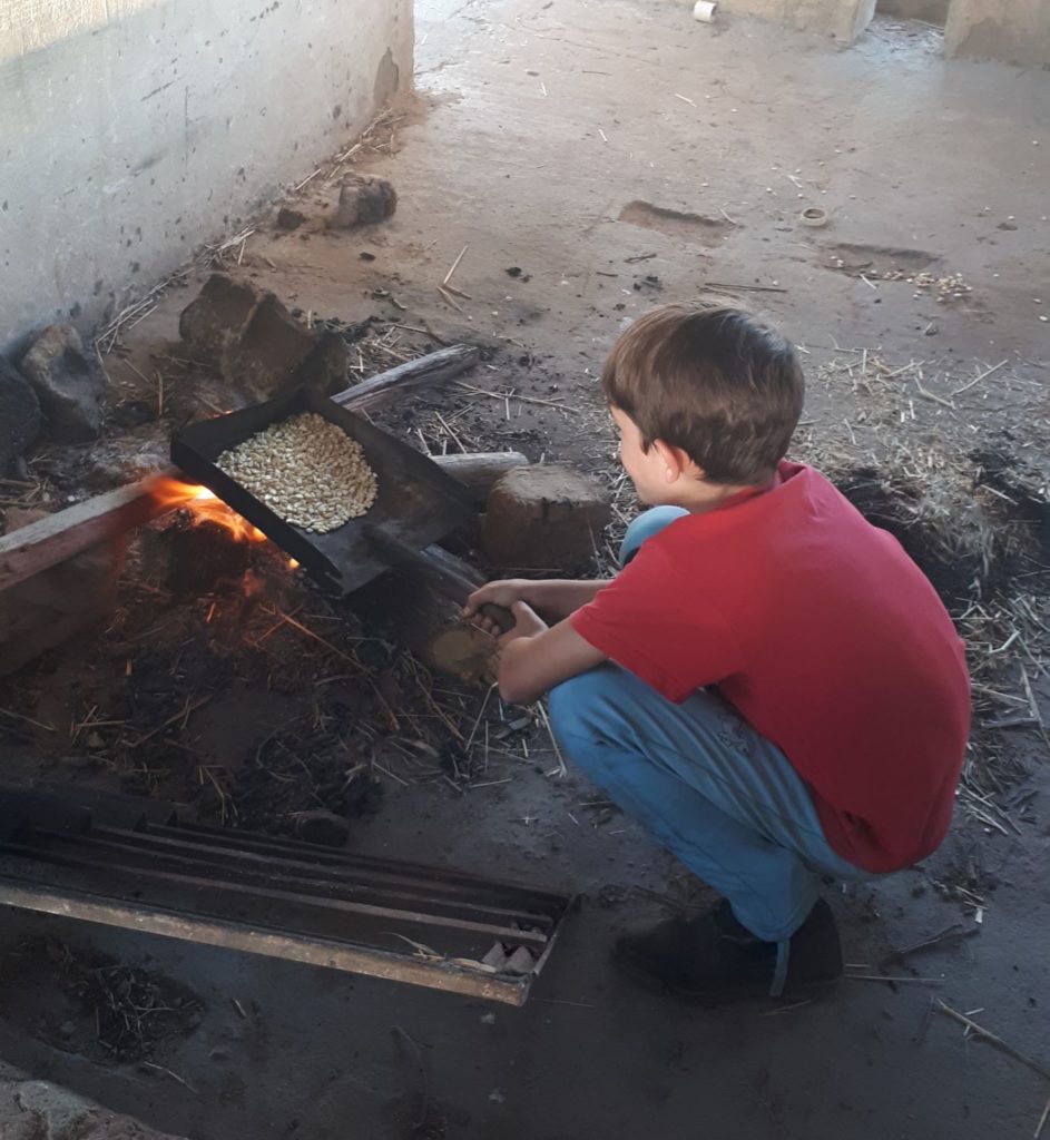 cooking maize popcorn