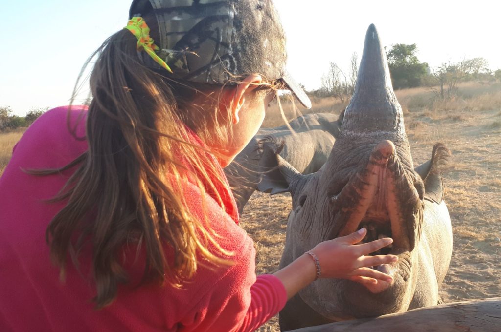 Paula Joy feeding the black rhino cubes. 