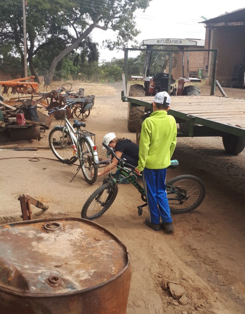 Little Entrepreneurs fixing their bicycles in the workshop. 