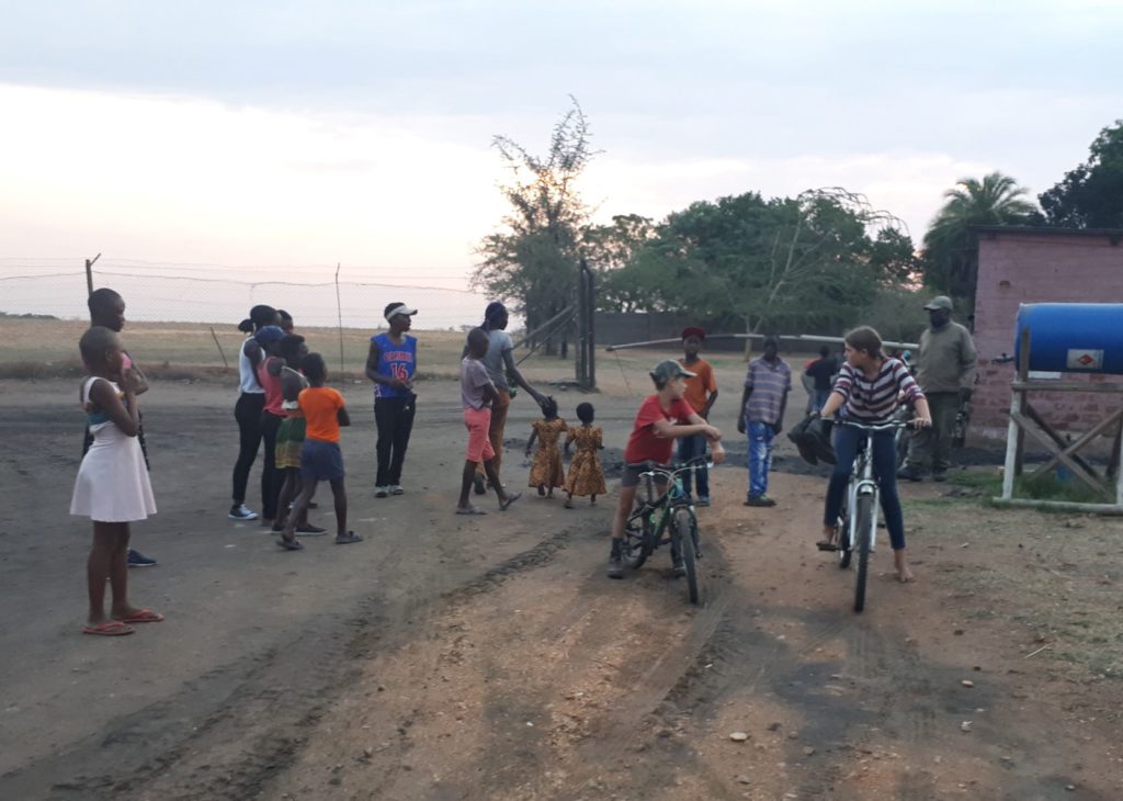 Socialization with staff and kids on the farm. 