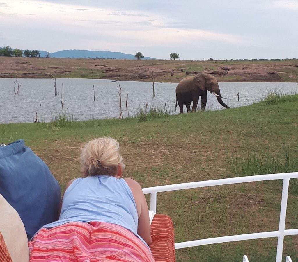 Viewing an elephant in front of the houseboat. 