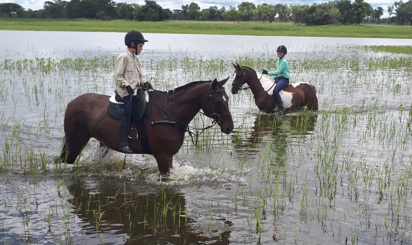 Riding horses in the farm dam.