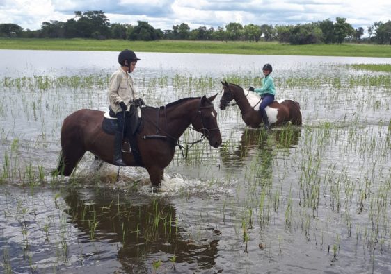 Riding horses in the farm dam.