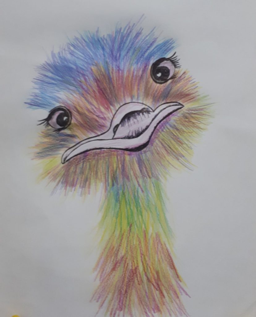 art funky ostrich