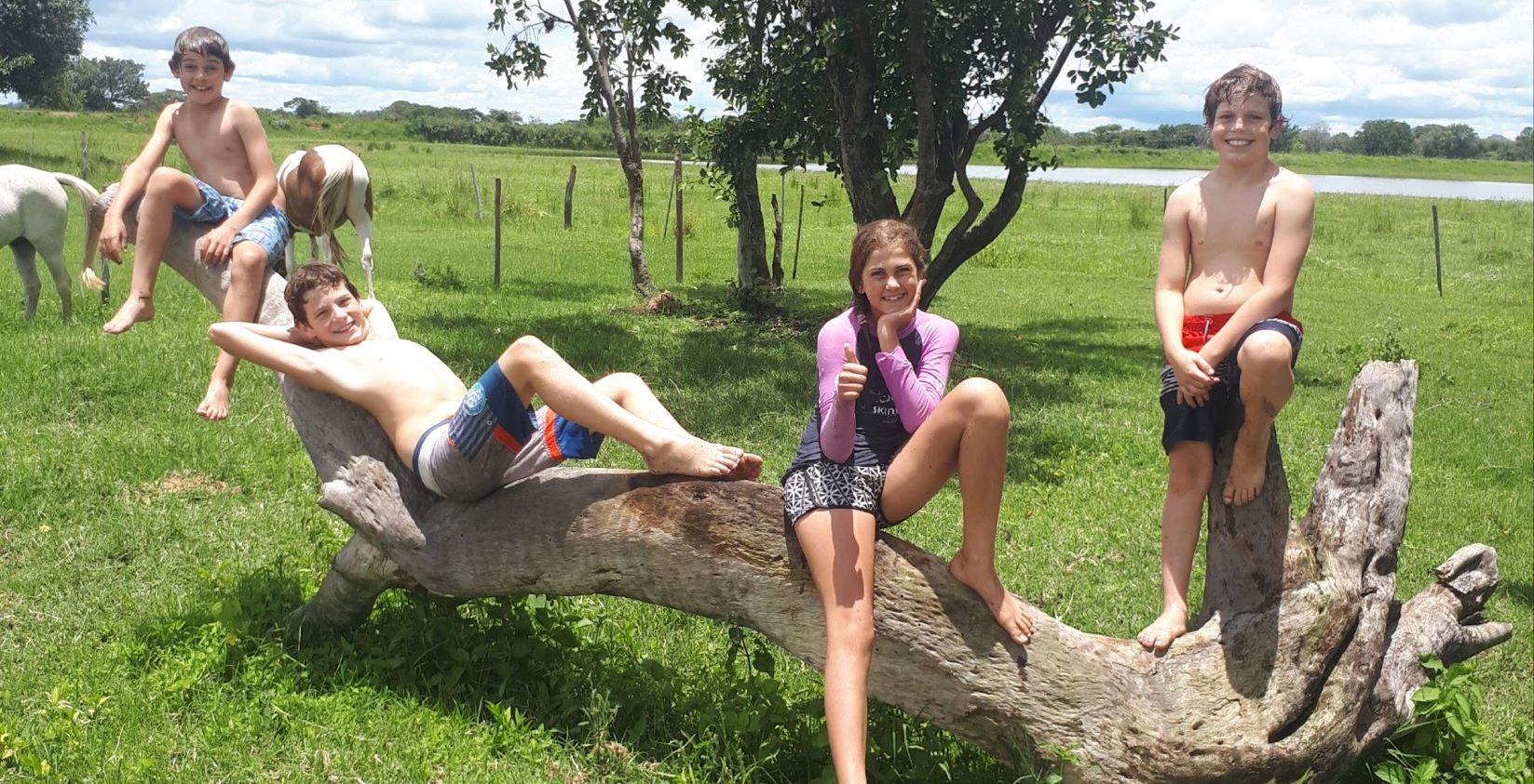 kids sitting on log
