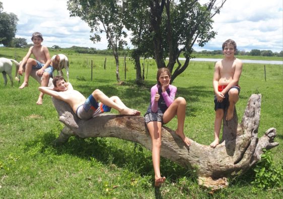 kids sitting on log