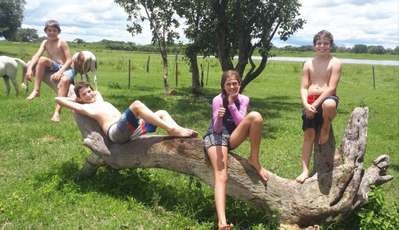 kids sitting on log