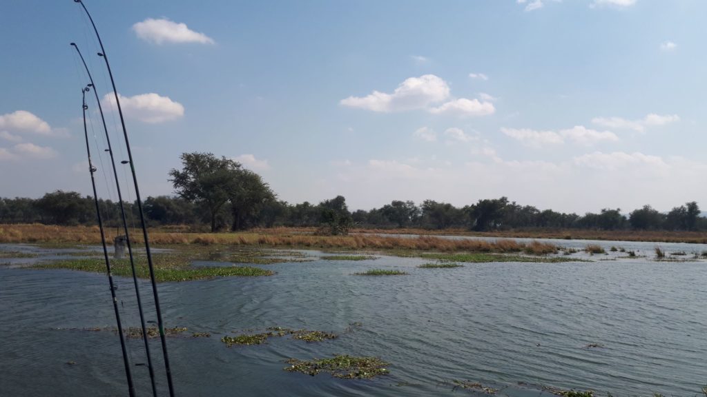 Chikwenya Island panorama. 