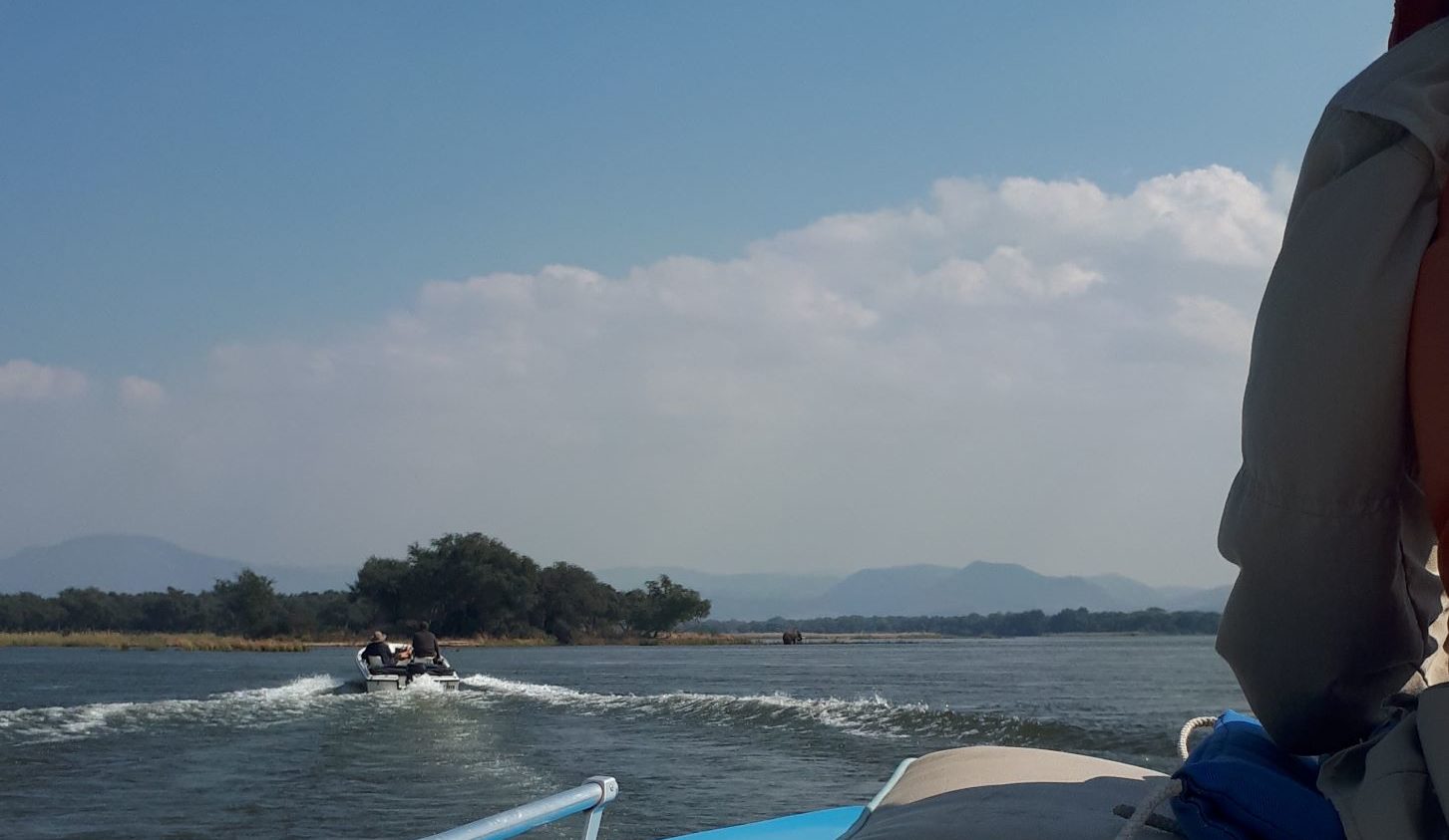 boating up the zambezi river.