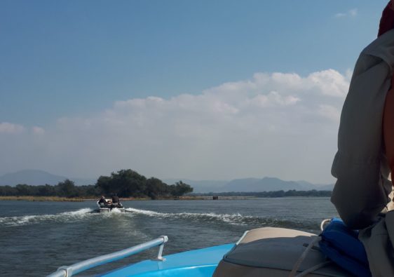 boating up the zambezi river.