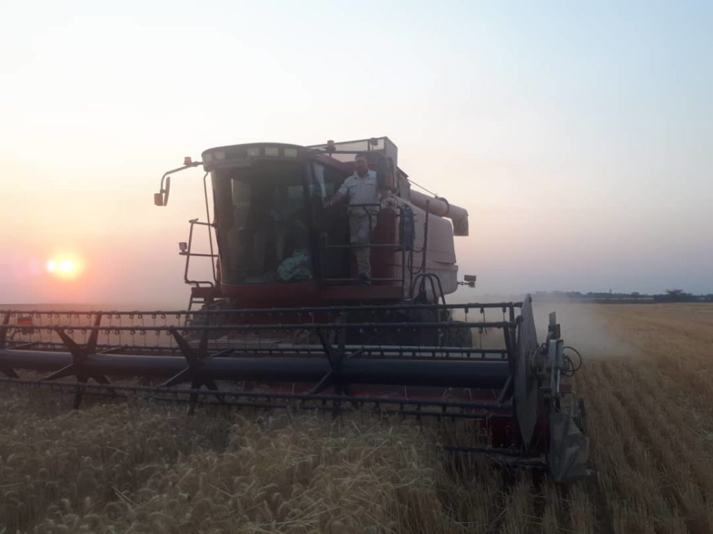 Paula Joy driving the combine. 