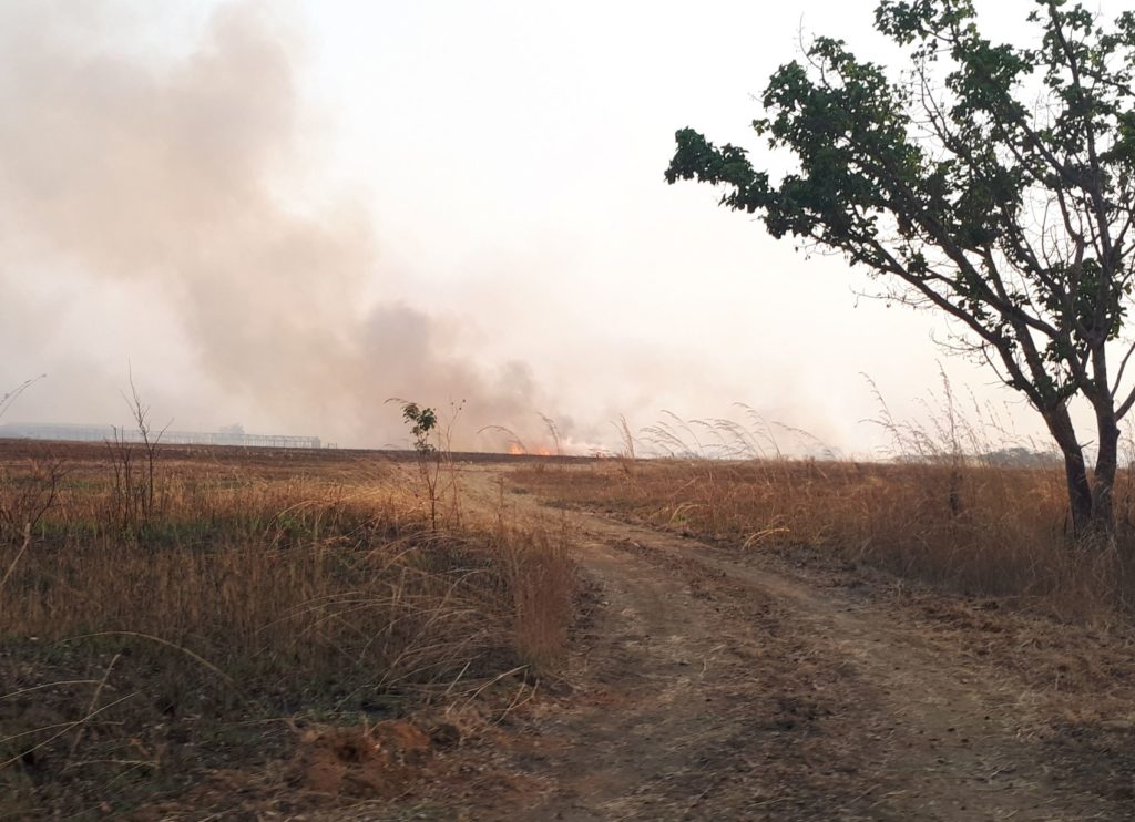 farm fires near the wheat and pack shed. 