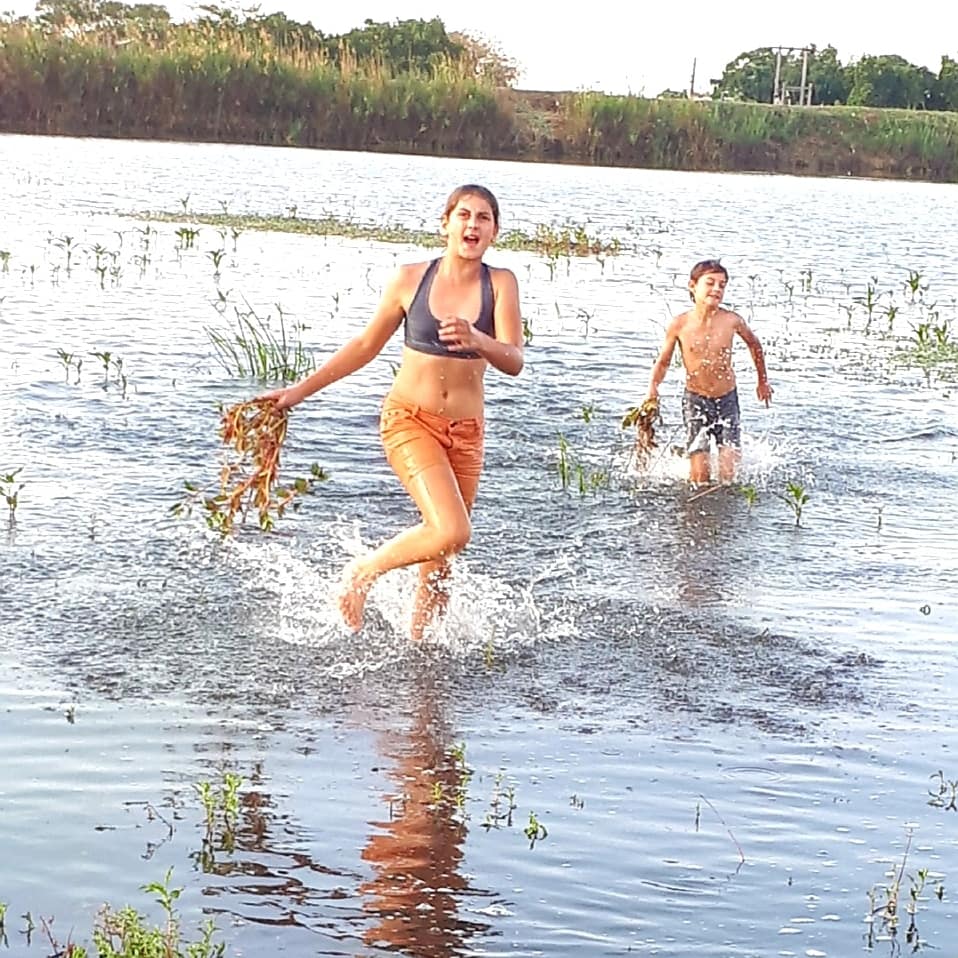 kids swimming in the farm dam