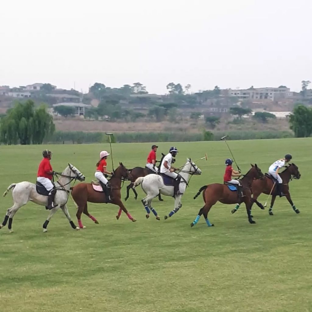 polo practice fun