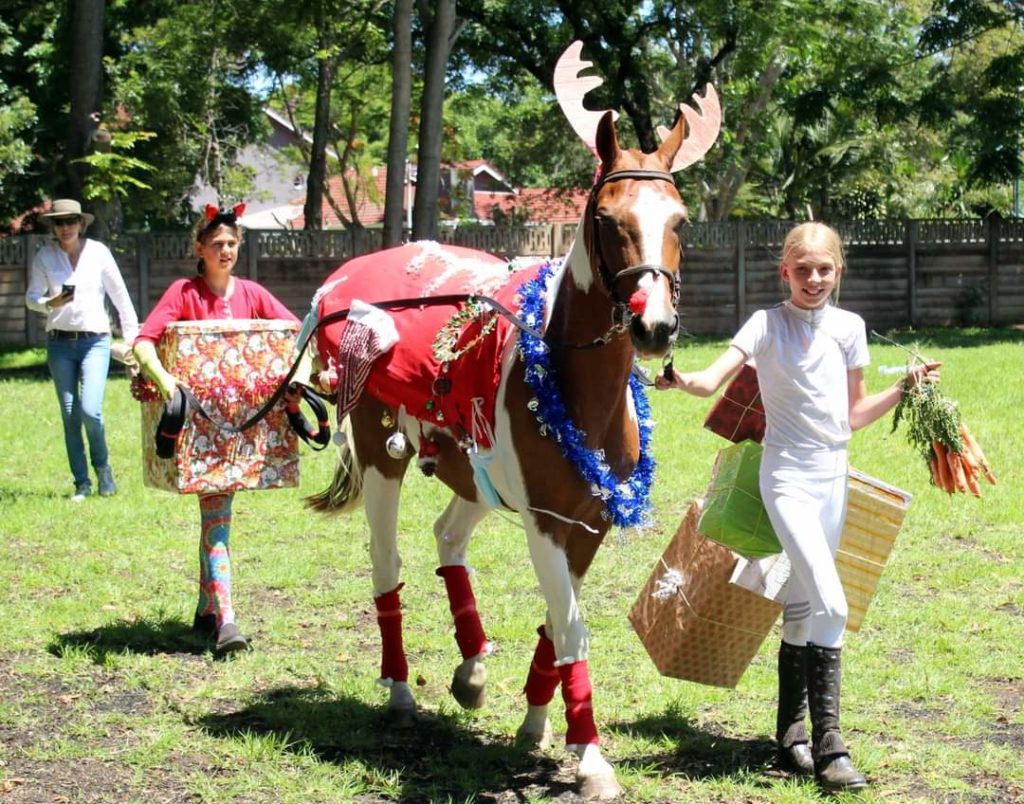 pony fancy dress competition.