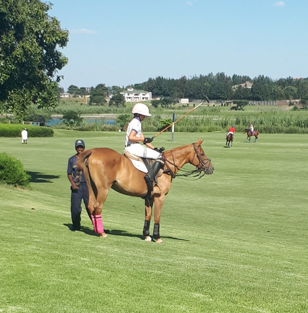 chukka change of pony