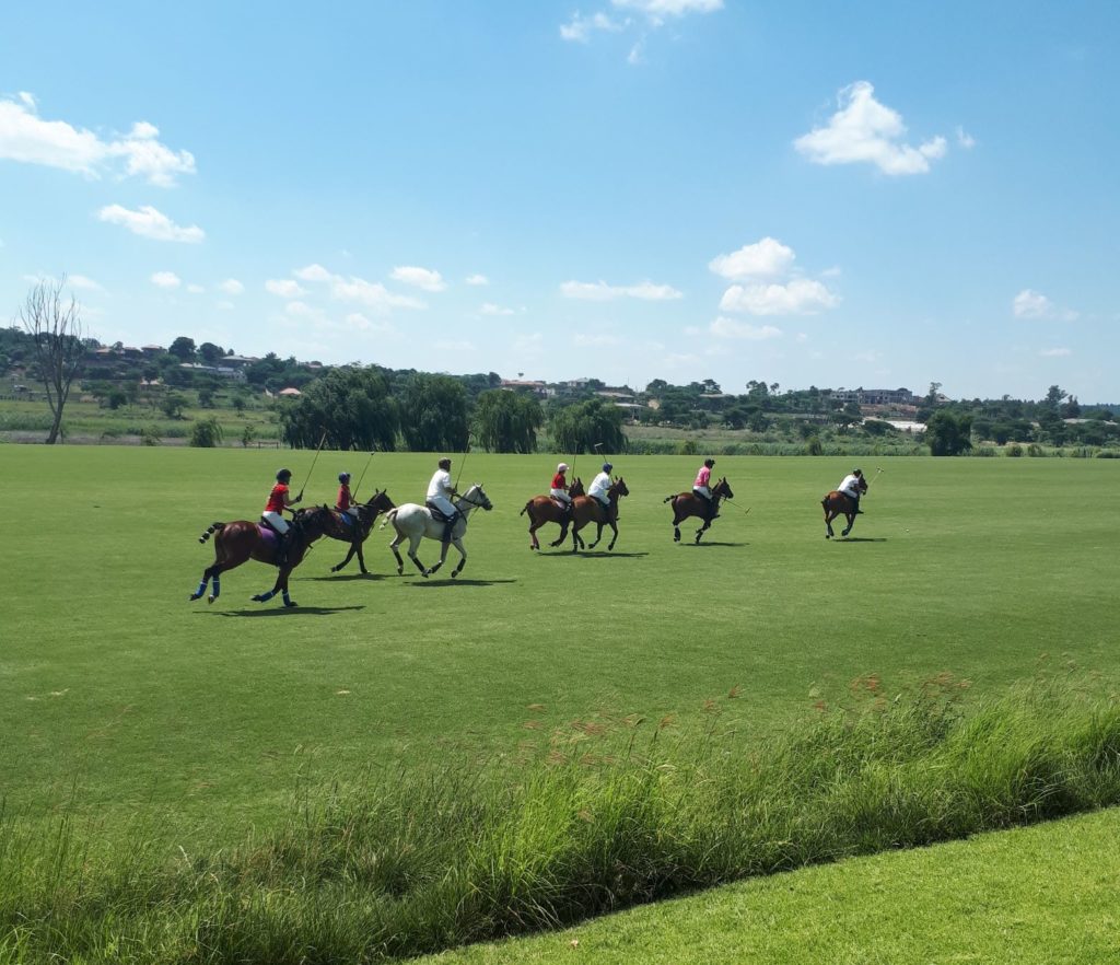 playing polo.