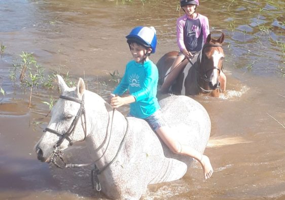 kids swimming their ponies in the dam.