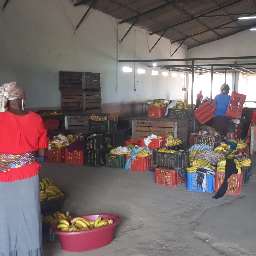 Banana sales on the farm