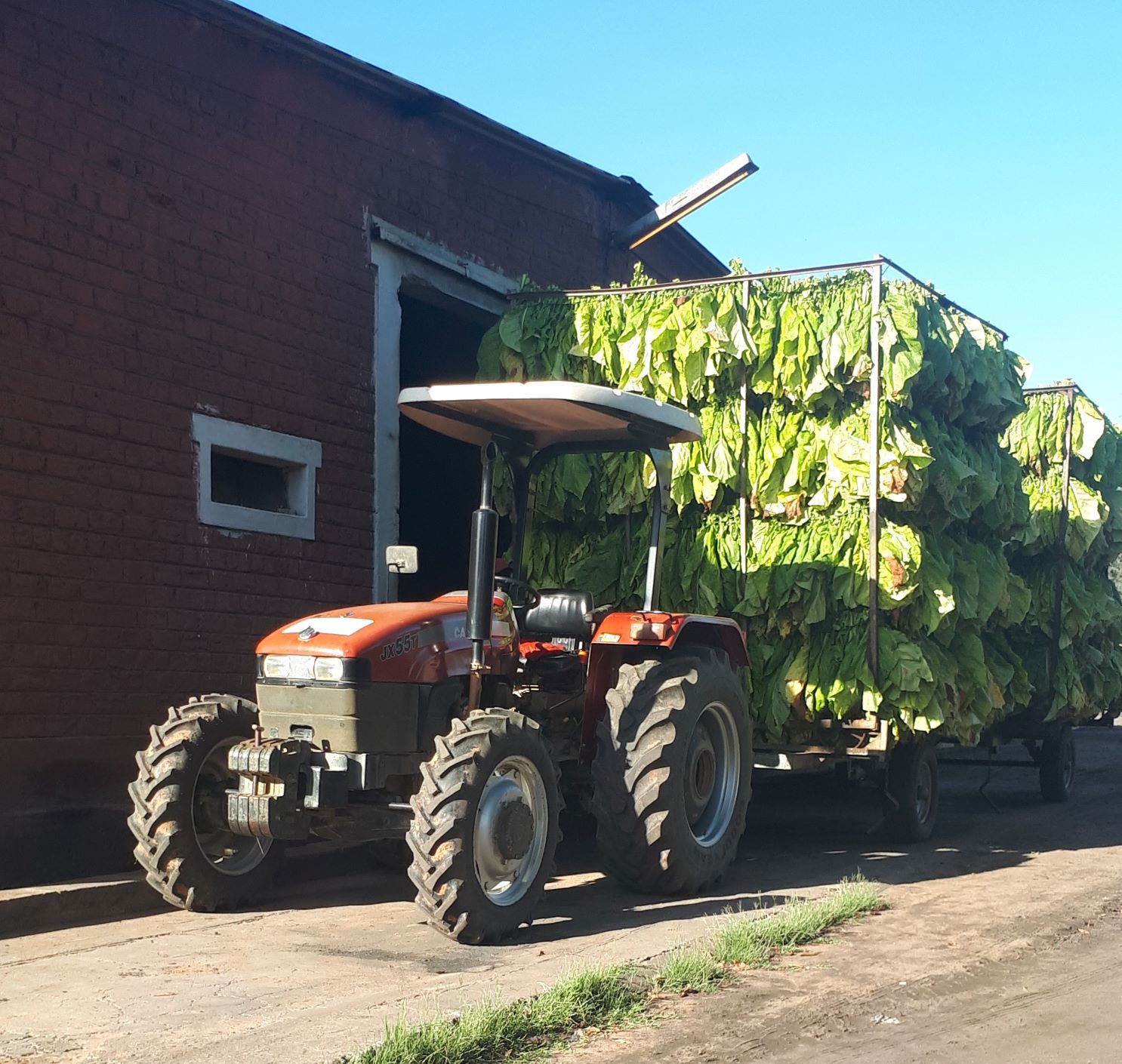 tractor and tobacco