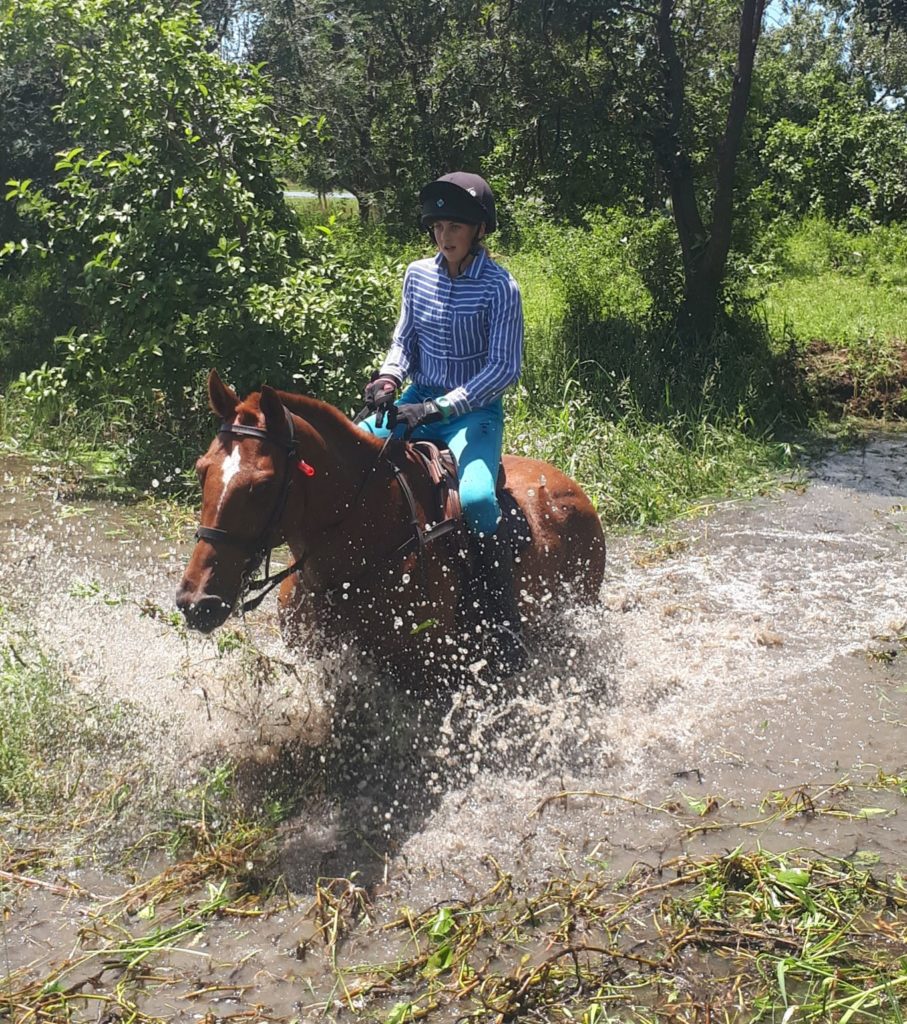 Water activity on the ponies. 