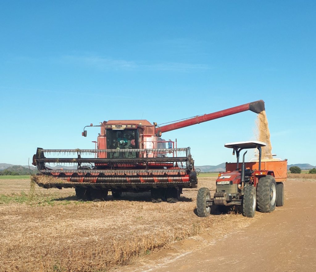 activity combine off loading into trailer