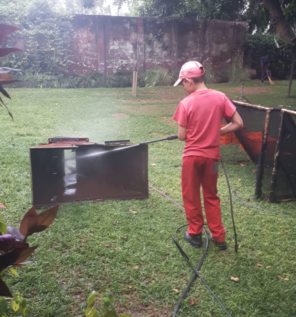 activity washing the pet's cages. 