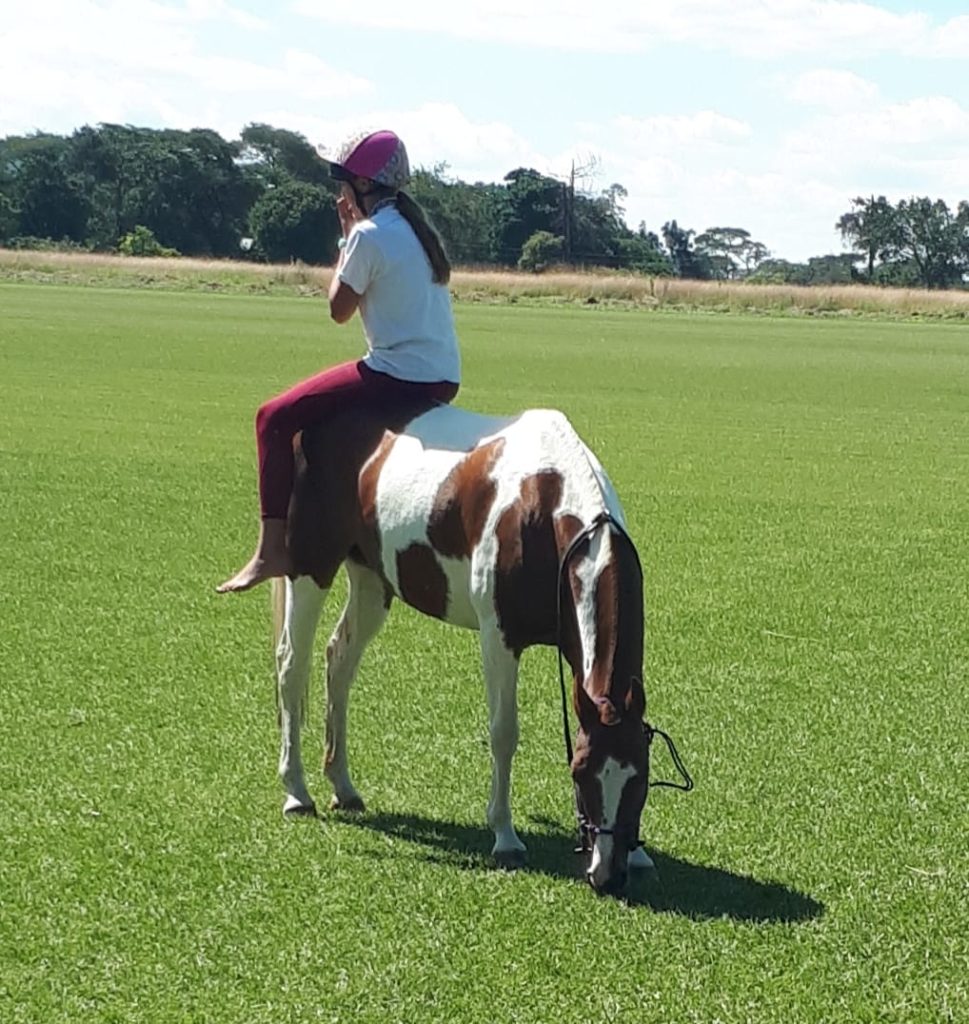 activity pony resting