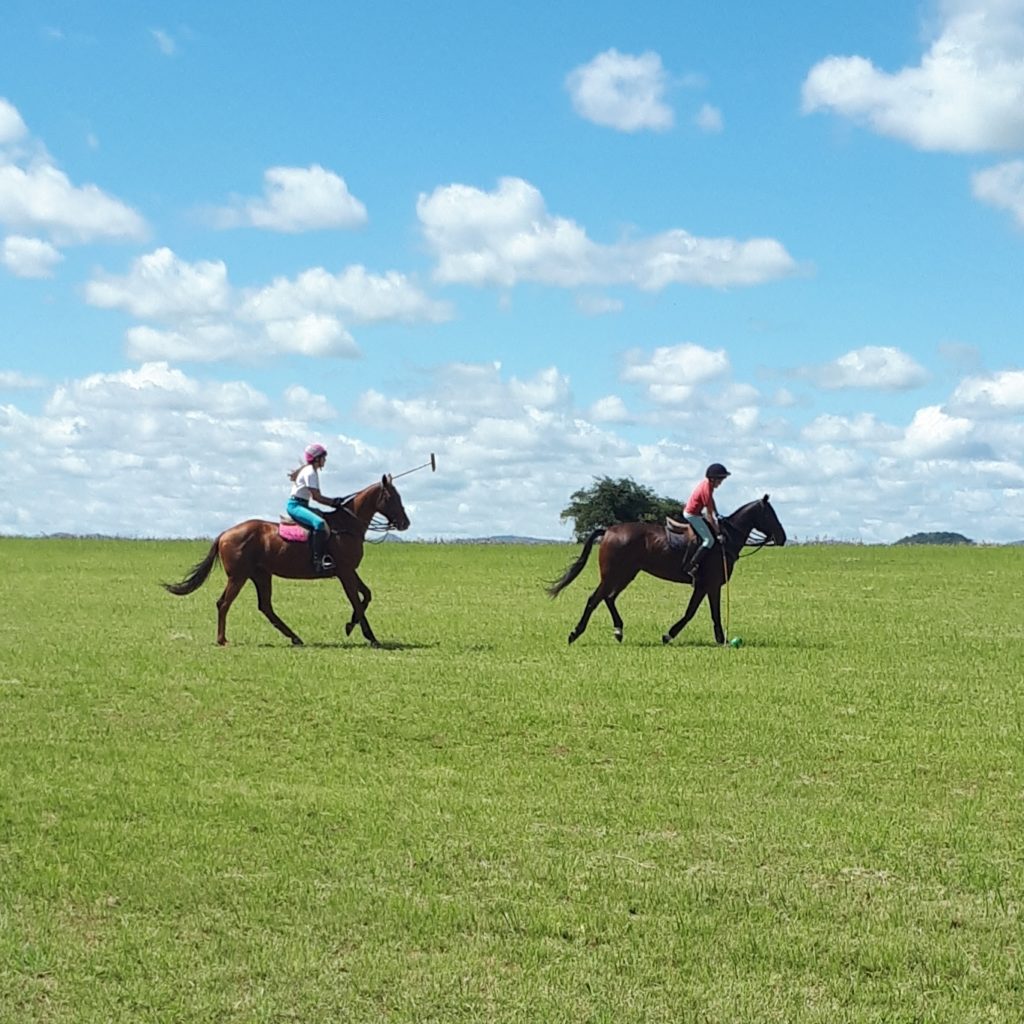 Polo morning practice. 