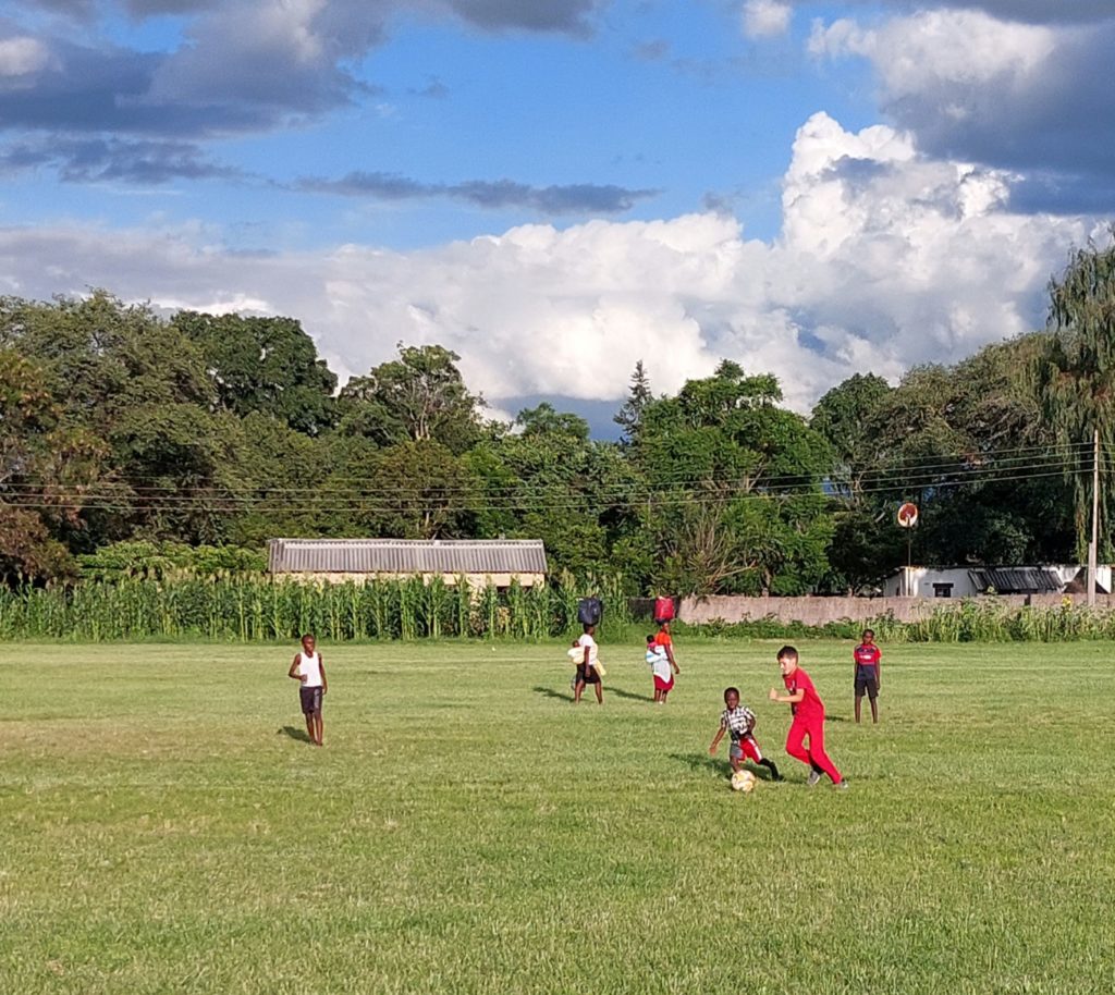 farm life and soccer