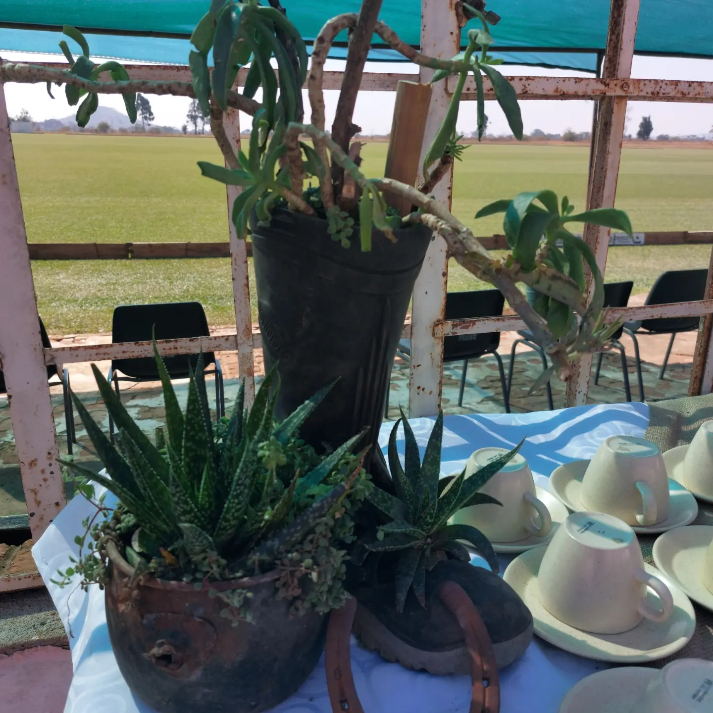 old gumboot and tea  pot made into pot plant holders. 