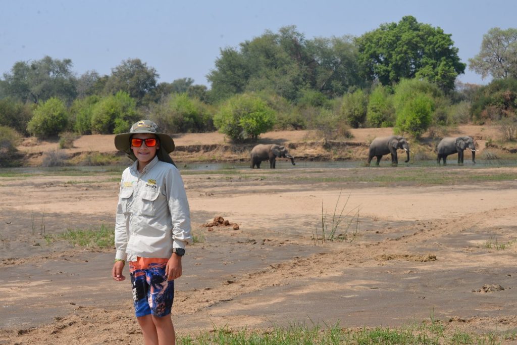 Homeschooling Adventure Elephants on the Zambezi River.
