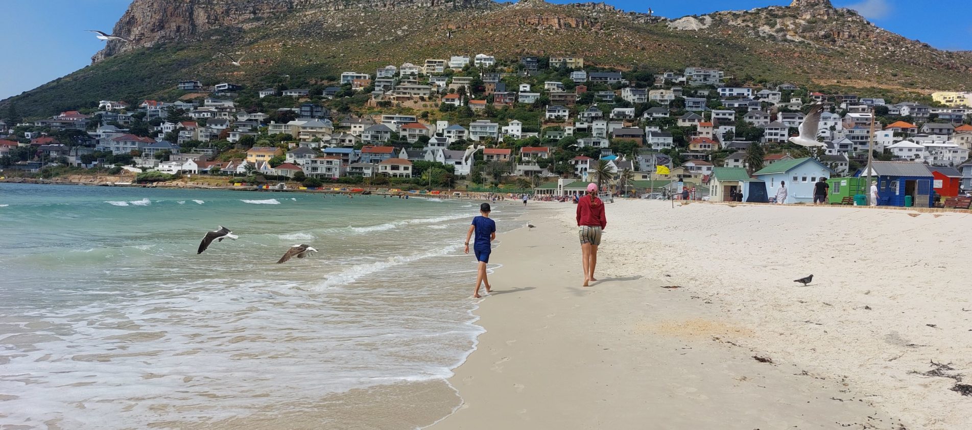 kids on the beach