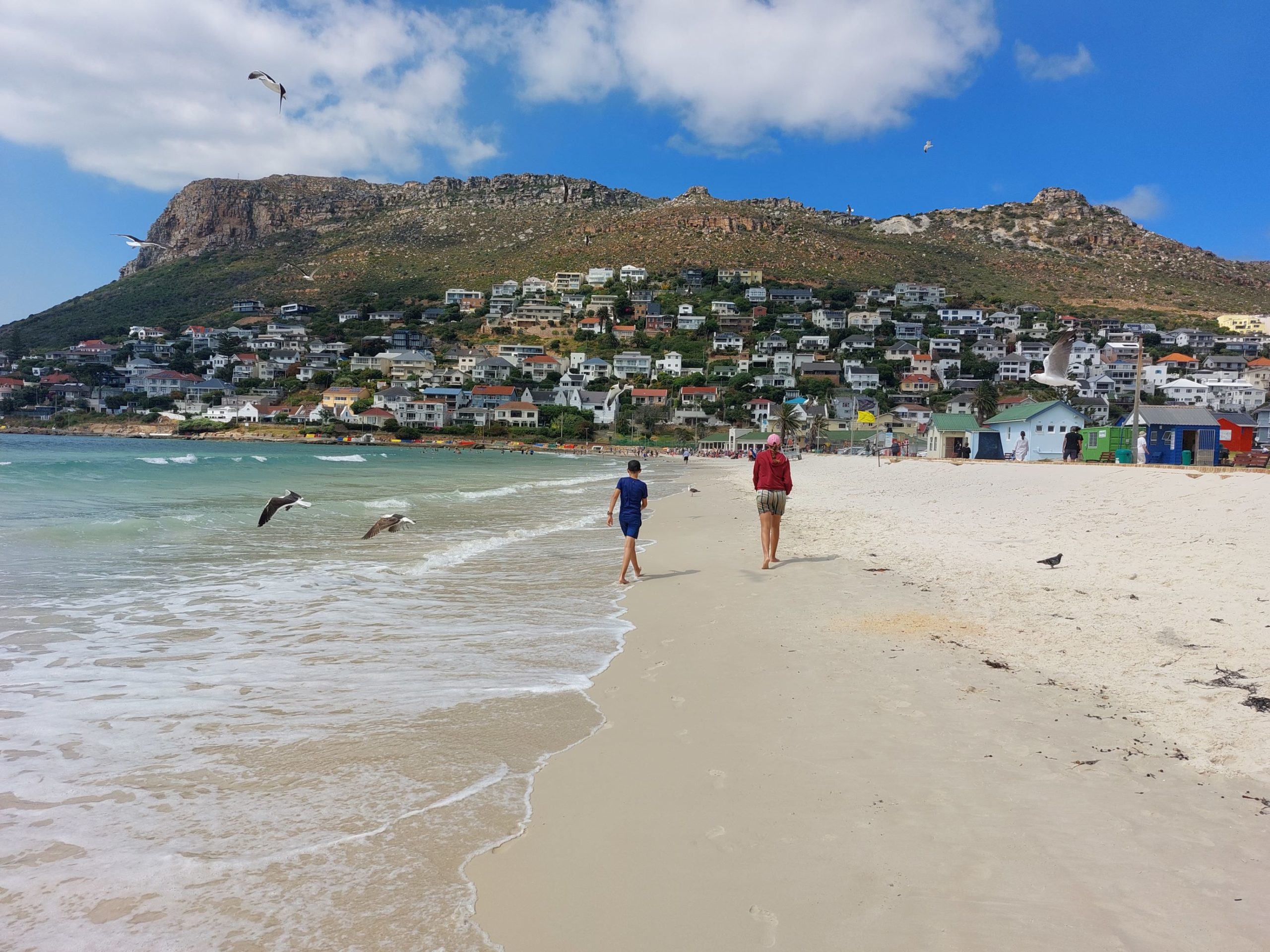 kids on the beach