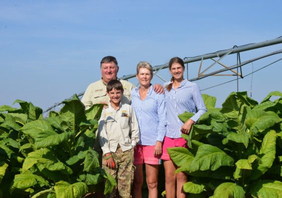 family in the tobacco field