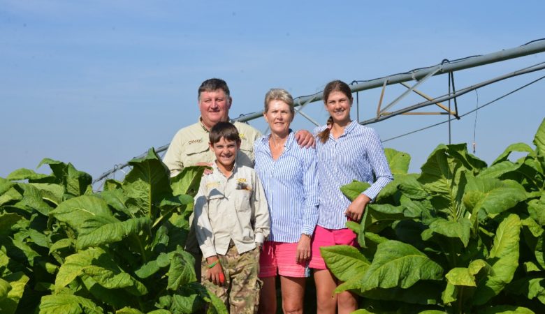family in the tobacco field