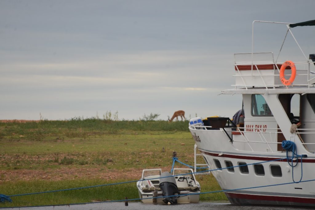 houseboat, tender boat and impala