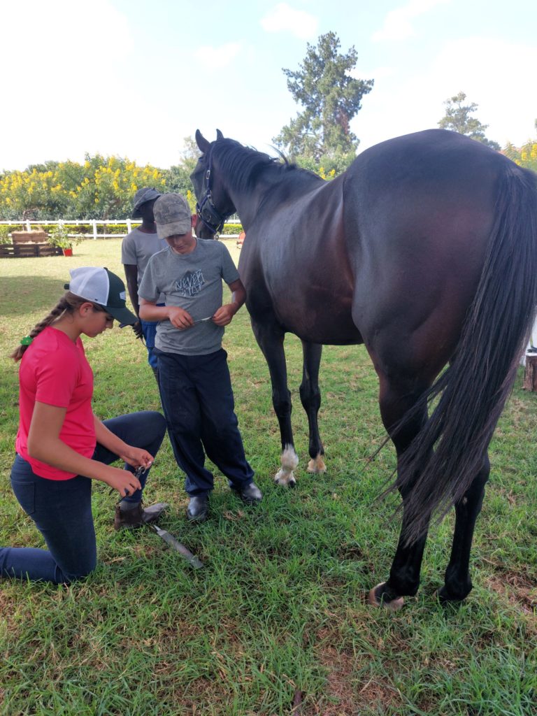 Our Homeschooling Adventure and Activity: learning how to trim horses hooves