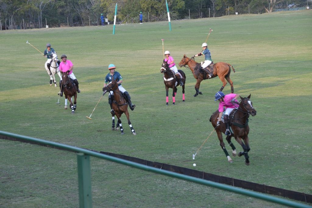 Our Homeschooling Adventures and Activities: Polo Tournament.  