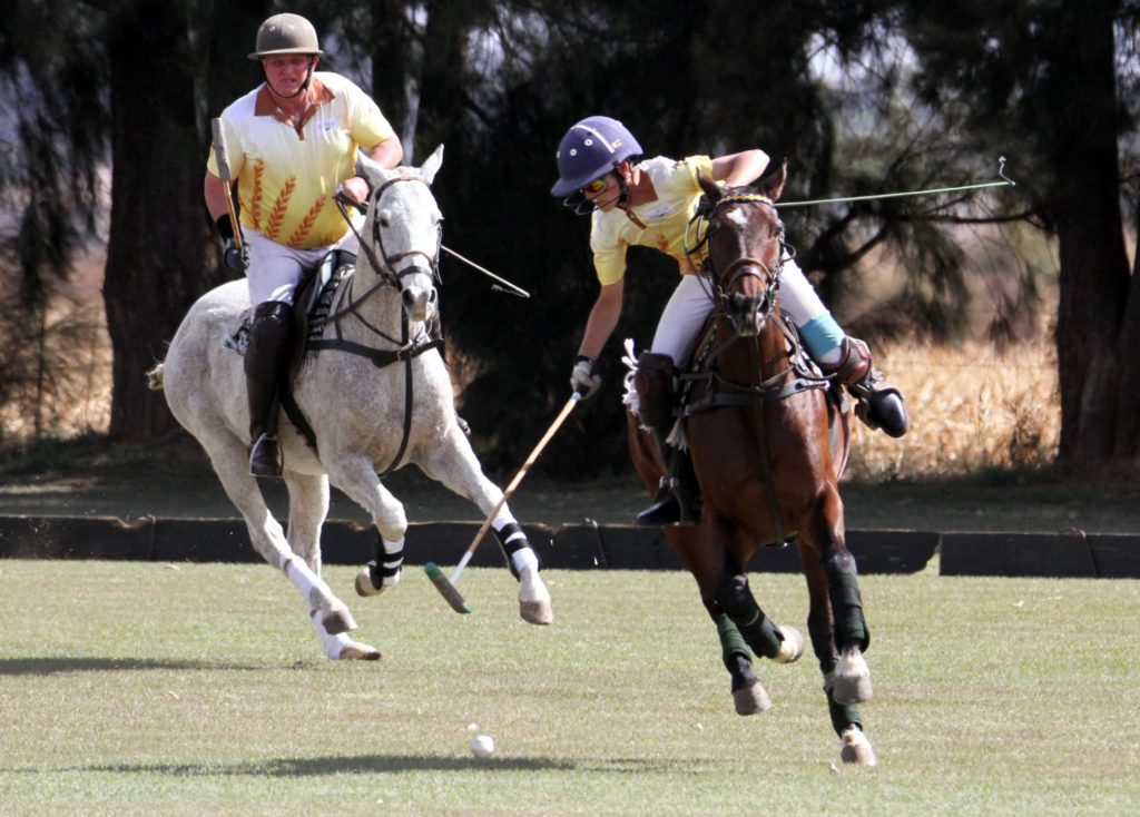 Our homeschooling adventure and activities playing polo 